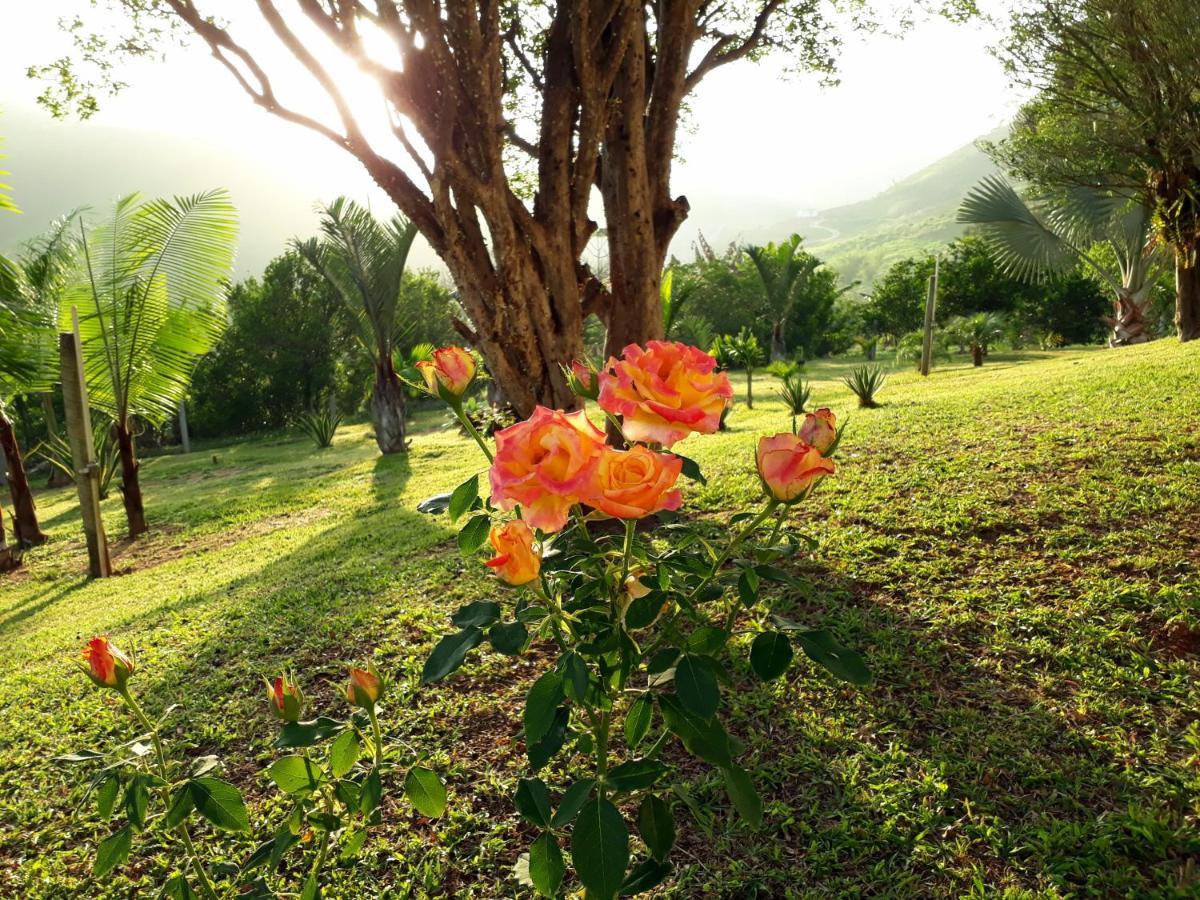 Casa/Sitio Na Serra Em Bom Jardim - Rj Eksteriør bilde