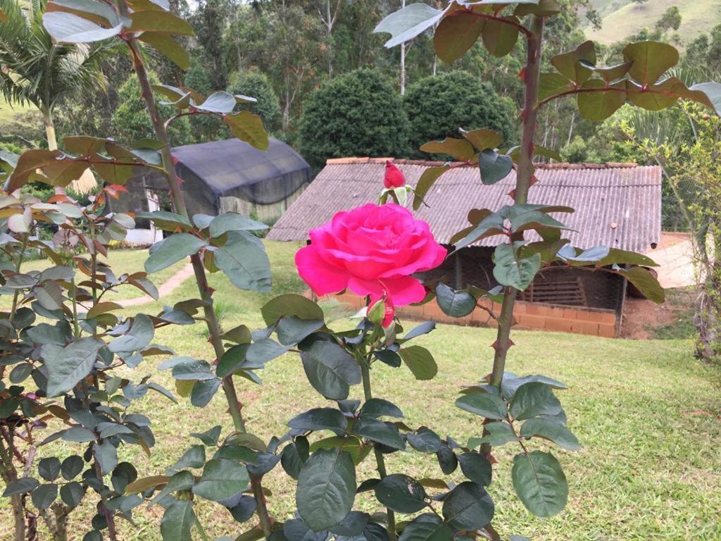 Casa/Sitio Na Serra Em Bom Jardim - Rj Eksteriør bilde