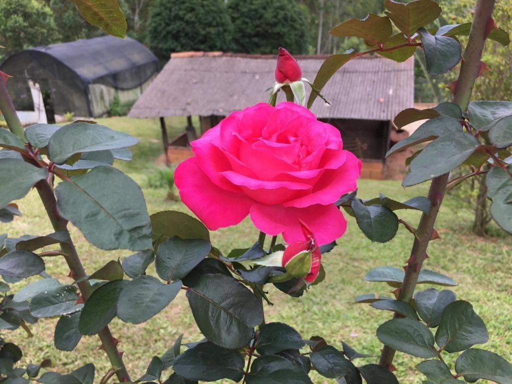 Casa/Sitio Na Serra Em Bom Jardim - Rj Eksteriør bilde