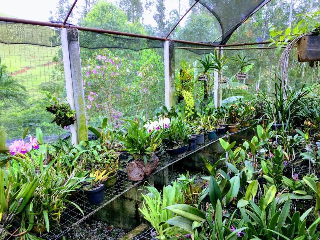 Casa/Sitio Na Serra Em Bom Jardim - Rj Eksteriør bilde