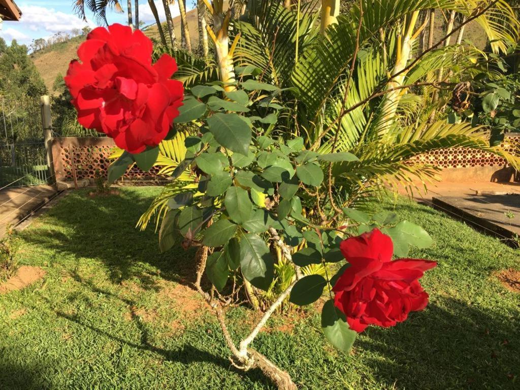 Casa/Sitio Na Serra Em Bom Jardim - Rj Eksteriør bilde
