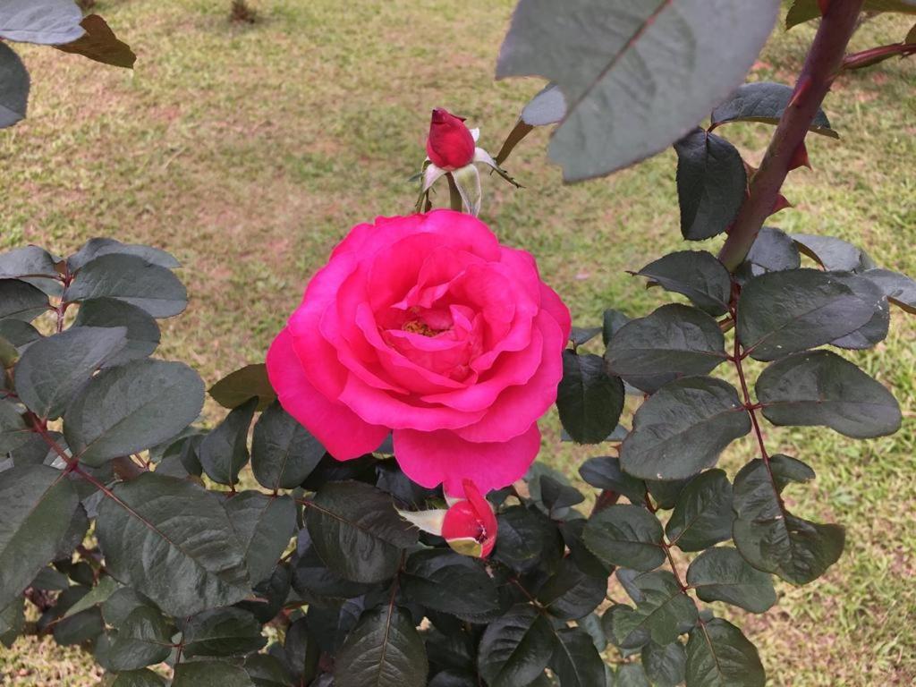 Casa/Sitio Na Serra Em Bom Jardim - Rj Eksteriør bilde