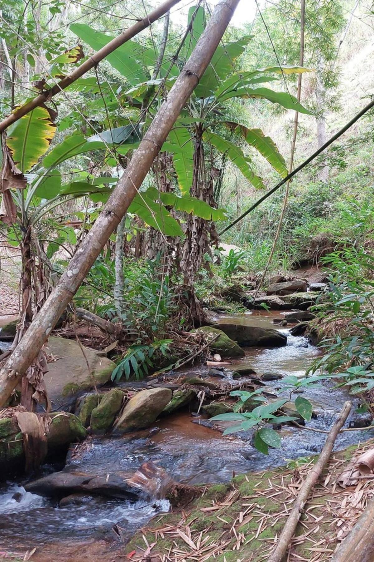 Casa/Sitio Na Serra Em Bom Jardim - Rj Eksteriør bilde